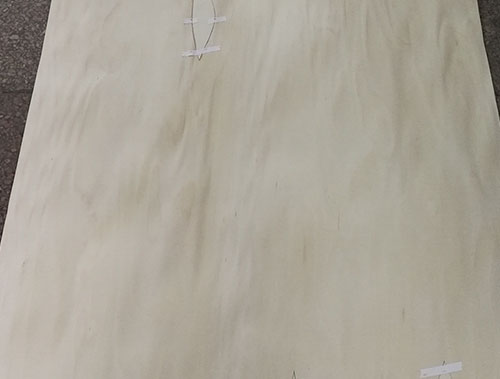 櫸木面皮0.8修補(bǔ) 櫸木面皮0.8修補(bǔ)