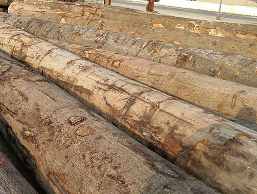 原木材質(zhì) 原木材質(zhì)